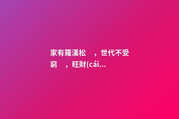家有羅漢松，世代不受窮，旺財(cái)又鎮(zhèn)宅